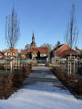 Friedhof (Wundersleben/Straußfurt (VG))